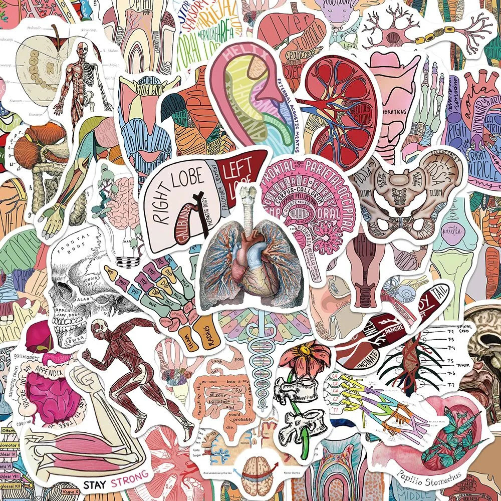 

10/30/50pcs Cartoon Human Organ Medical Anatomy Stickers Decals Skateboard Motorcycle Phone Car Scrapbooking Waterproof Sticker