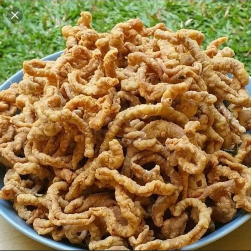 

BESTSELLER SALE KERIPIK USUS AYAM RASA ORIGINAL 500GR CRISPY