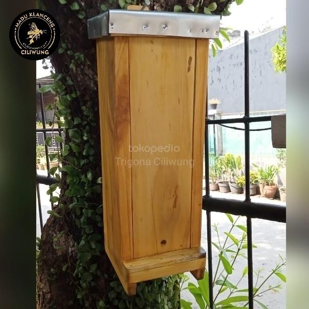 Glodok Kayu Kotak Jebakan Gantung Trigona Itama