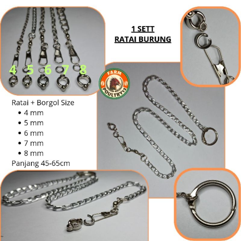 PS12 - RANTAI BURUNG PARROT BURUNG FALK 4 MM, 5 MM, 6 MM, 7 MM, 8 MM RATAI BURUNG COCKATILE RANTAI B