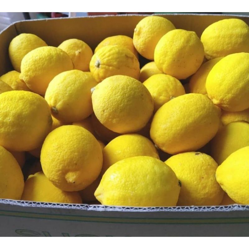 

Jeruk Lemon Import Fresh 1kg - 05