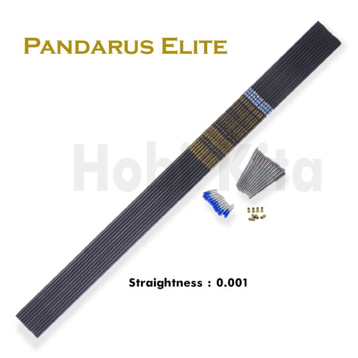 ✨TERLARIS  -Anak Panah Arrow Carbon Hybrid Pandarus Elite X10