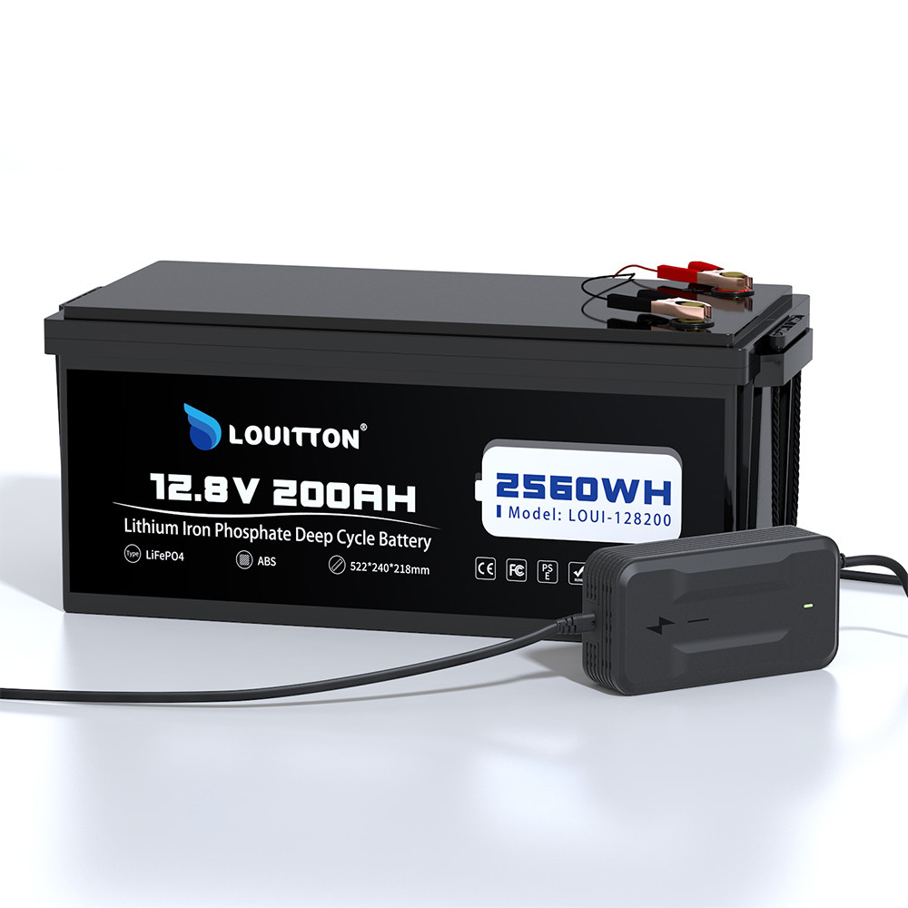 12V 100Ah 24V 100Ah Lifepo4 Battery Pack 12v 50Ah Portable Power Bank Rechargeable Lithium Batteries