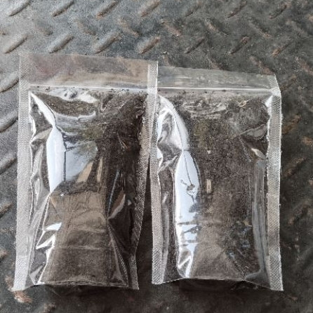 Promo Azolla Kering 100 gr