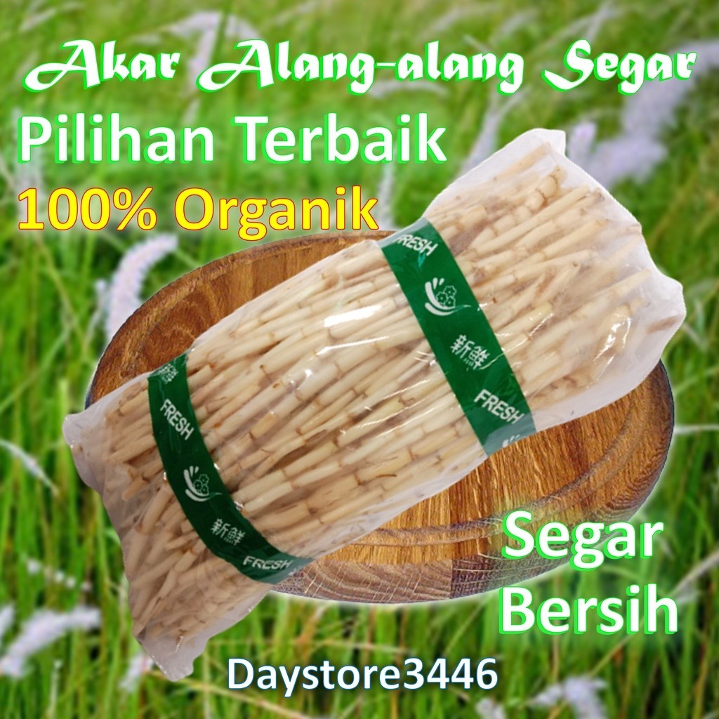 

bisa cod Akar Alang Alang Segar Super Fress 250 g Dari Hutan Ciremai FA