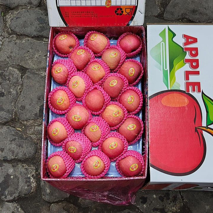 

GROSIR !! Apel Fuji 1 Dus