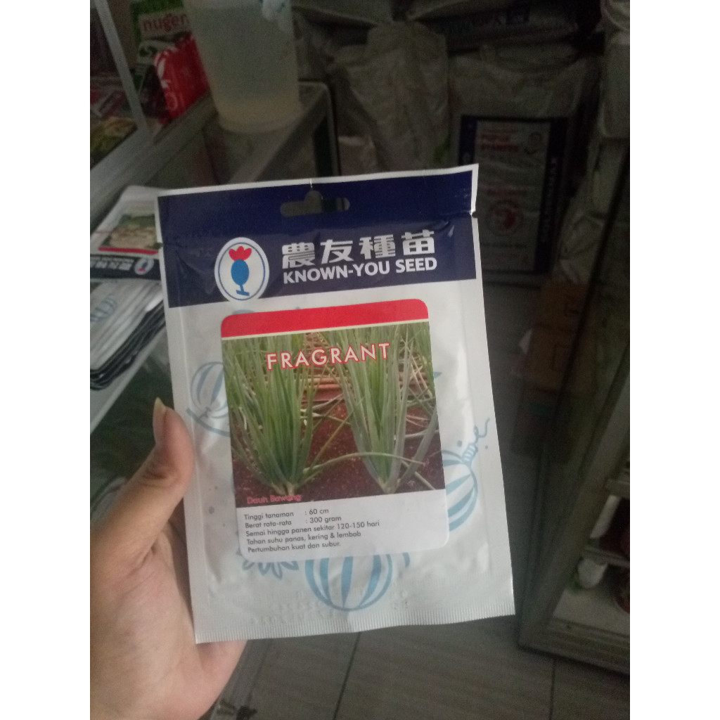 Benih Bawang Daun / Daun Bawang FRAGRANT Toleran Penyakit Bibit Sayuran Oncang Blaze Freda
