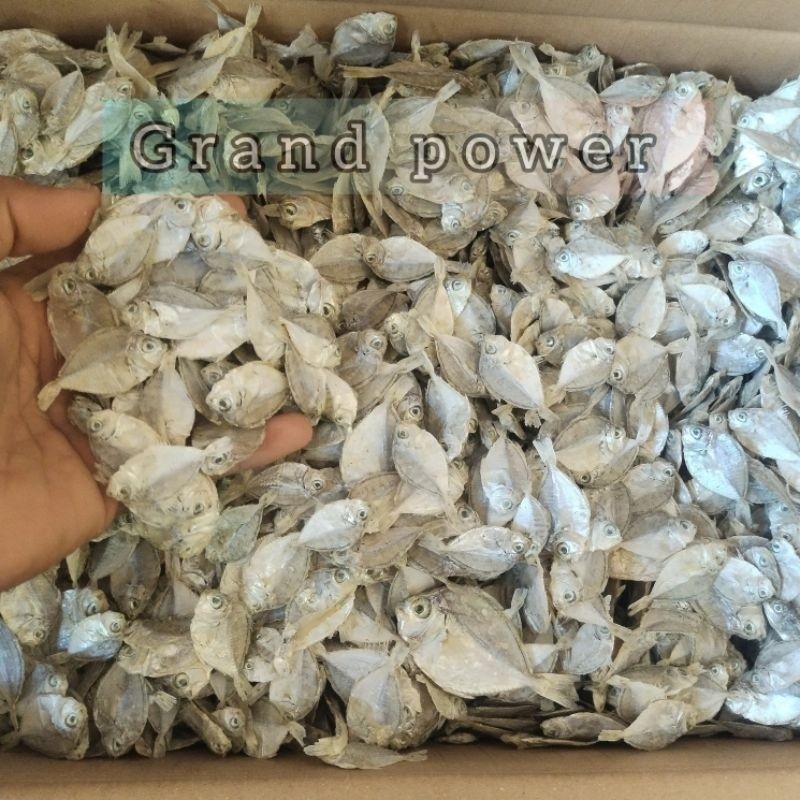 

TERMURAH Ikan Asin Murah / Ikan Asin Petek kecil kering / Besar 1 kg Enak Dan Gurih