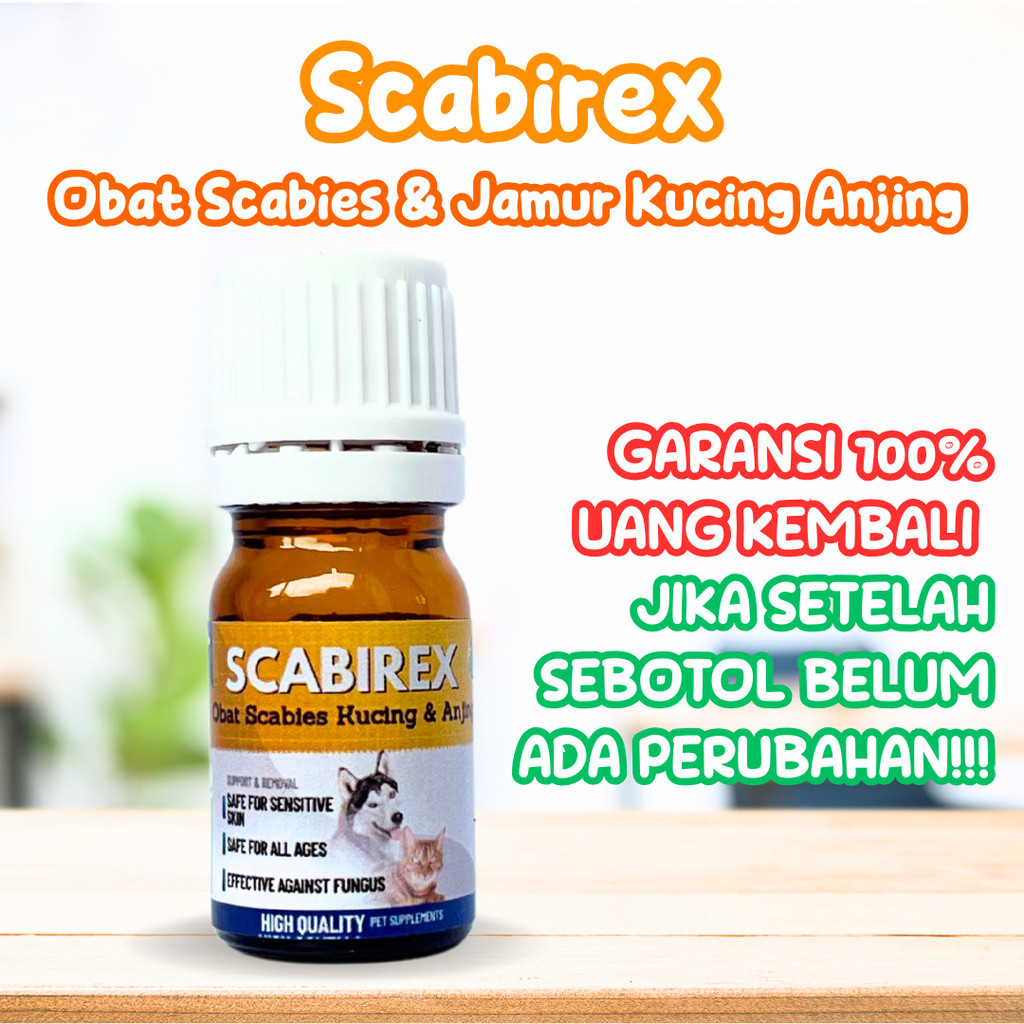 OBAT JAMUR ANJING KUCING KITTEN ANTI JAMUR RINGWORM PARASIT KULIT BERKERAK ALERGI DERMATITIS BULU RO
