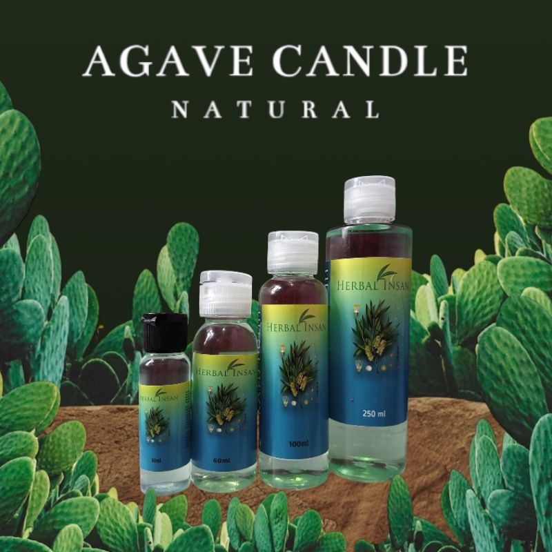 

Herbal_Minyak Kayu Putih Asli 40% Cajuput - Aromatherapy
