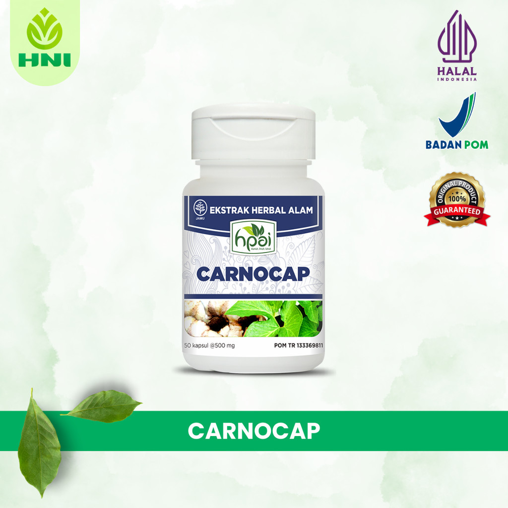 

CARNOCAP - Obat Herbal untuk Kanker Tumor - HNI BPOM