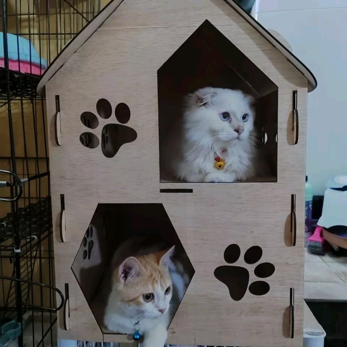 kandang rumah kucing kayu tingkat 2 murah