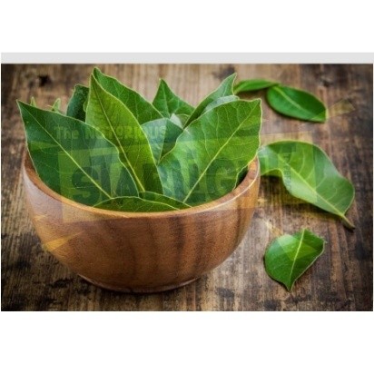

Daun Salam Segar - Non Pestisida / Bay Leaf