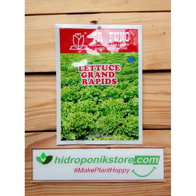 Benih Bibit Biji Selada Hijau Grand Rapid Hidroponik