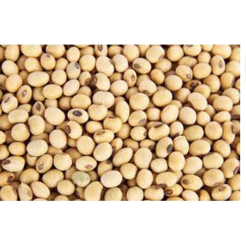 

kedelai/kacang kedelai 500g/kedele super murahh