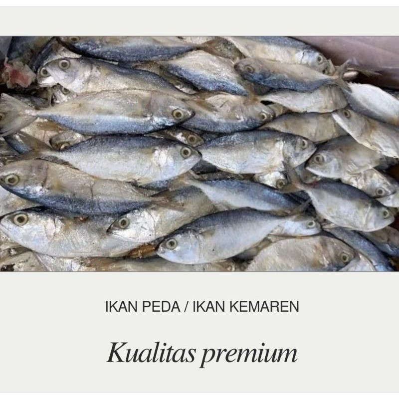 

Terlaris ikan peda // ikan kemaren // ikan kembung //banyar/ikan asin premium
