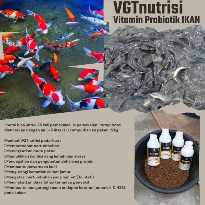 VGT nutrisi ikan perikanan vitamin probiotik pertumbuhan