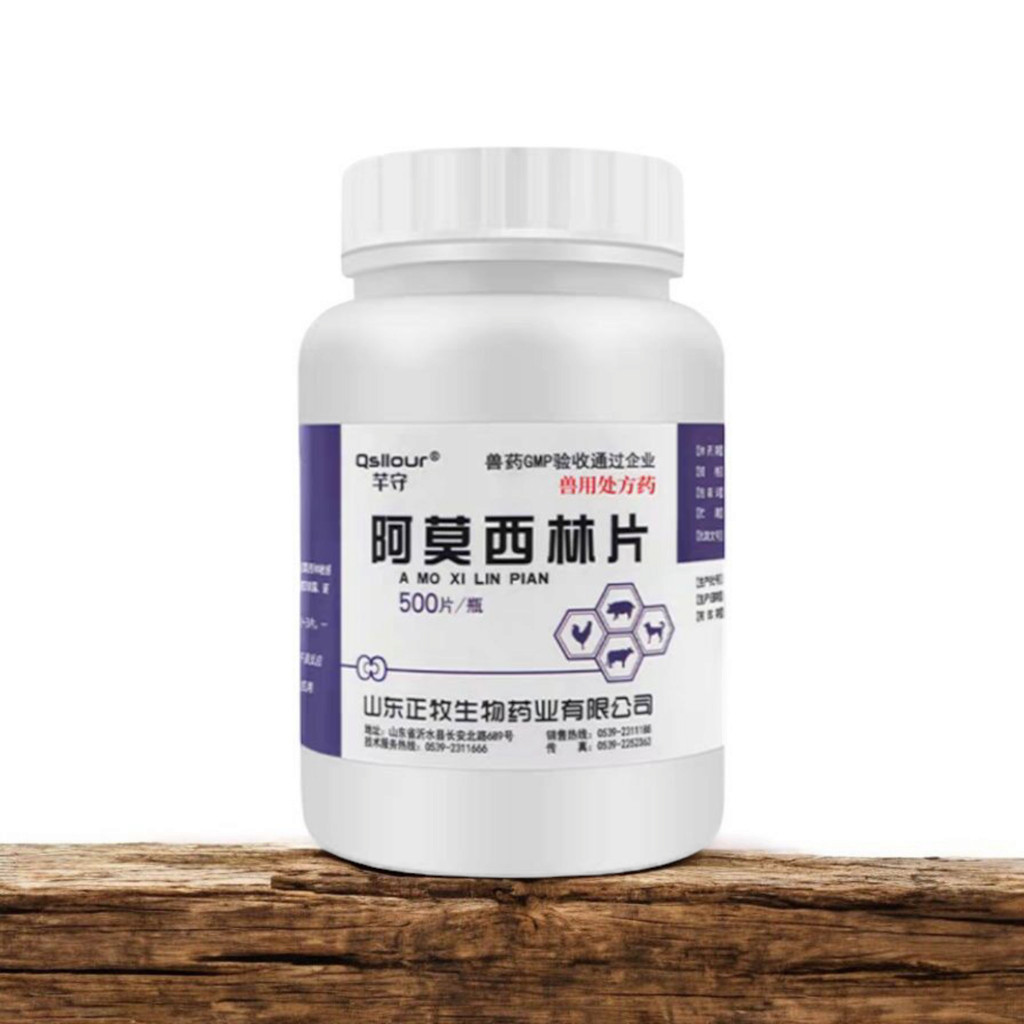 Pet Amoxicillin obat antibiotik hewan tablet untuk anjing kucing infeksi