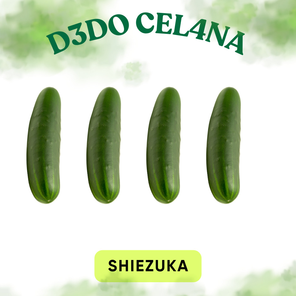 

PROMO HOT SALE Jual timun rujak gede JUMBO ~ VIVISNL