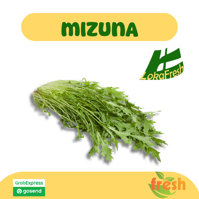 

Sayur Selada Mizuna 250gram