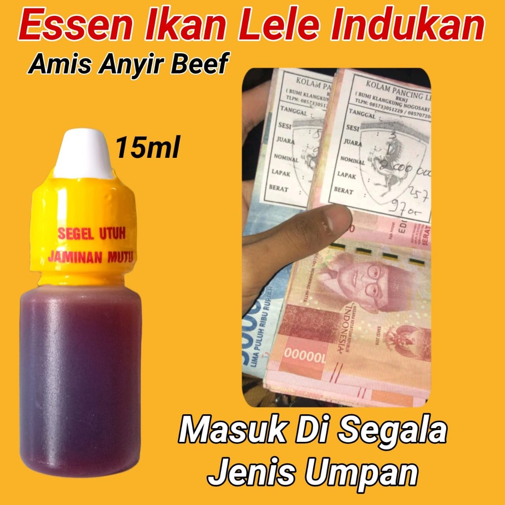 Essen Ikan Lele Indukan, Essen Ikan Lele Galatama, Essen Ikan Lele Babon, Essen Ikan Lele Galapung, 