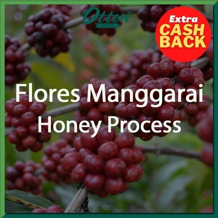 

Green Bean Flores Manggarai Honey Process - 1 Kg