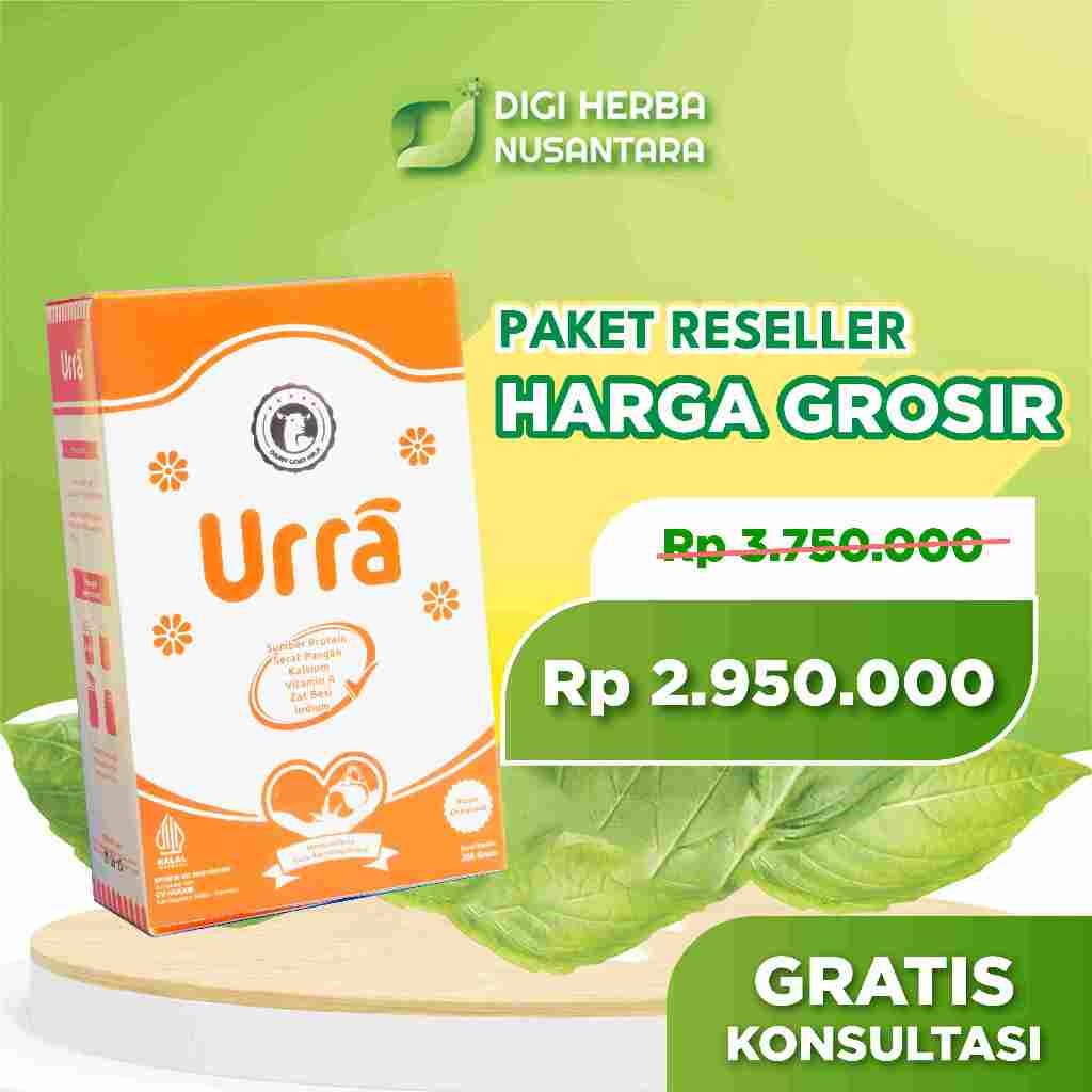 

Paket Reseller 50 BOX - Susu URRA Susu Kambing Saanen Penggemuk Peninggi Badan Anak