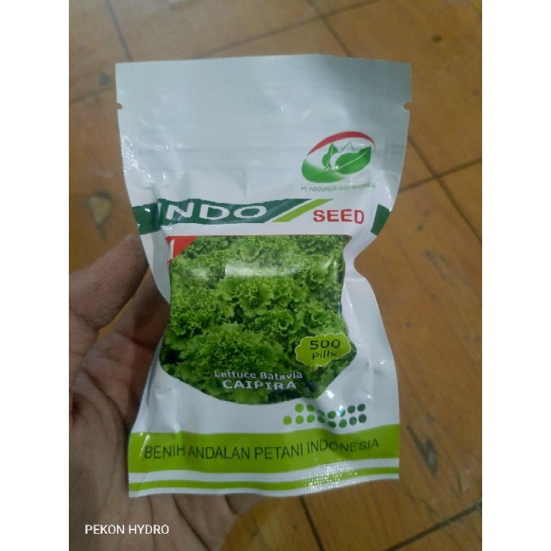 PROMO / BENIH SELADA BATAVIA CAIPIRA 1 GRAM INDO SEED ENZA ZARDEN NEW