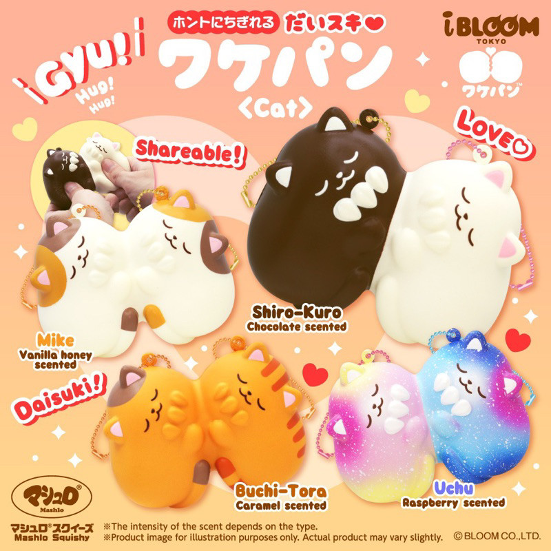 MOMOCUPPY cat share bread squishy by Ibloom Japan