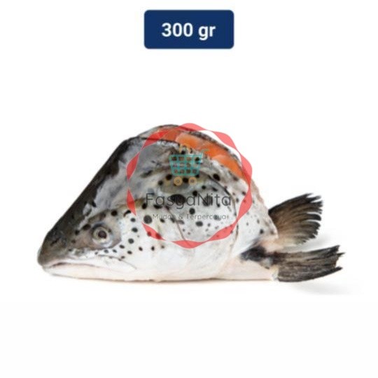 

Salmon Kepala 1 Pack (275 - 400 gr) - Fasyanita Denpasar