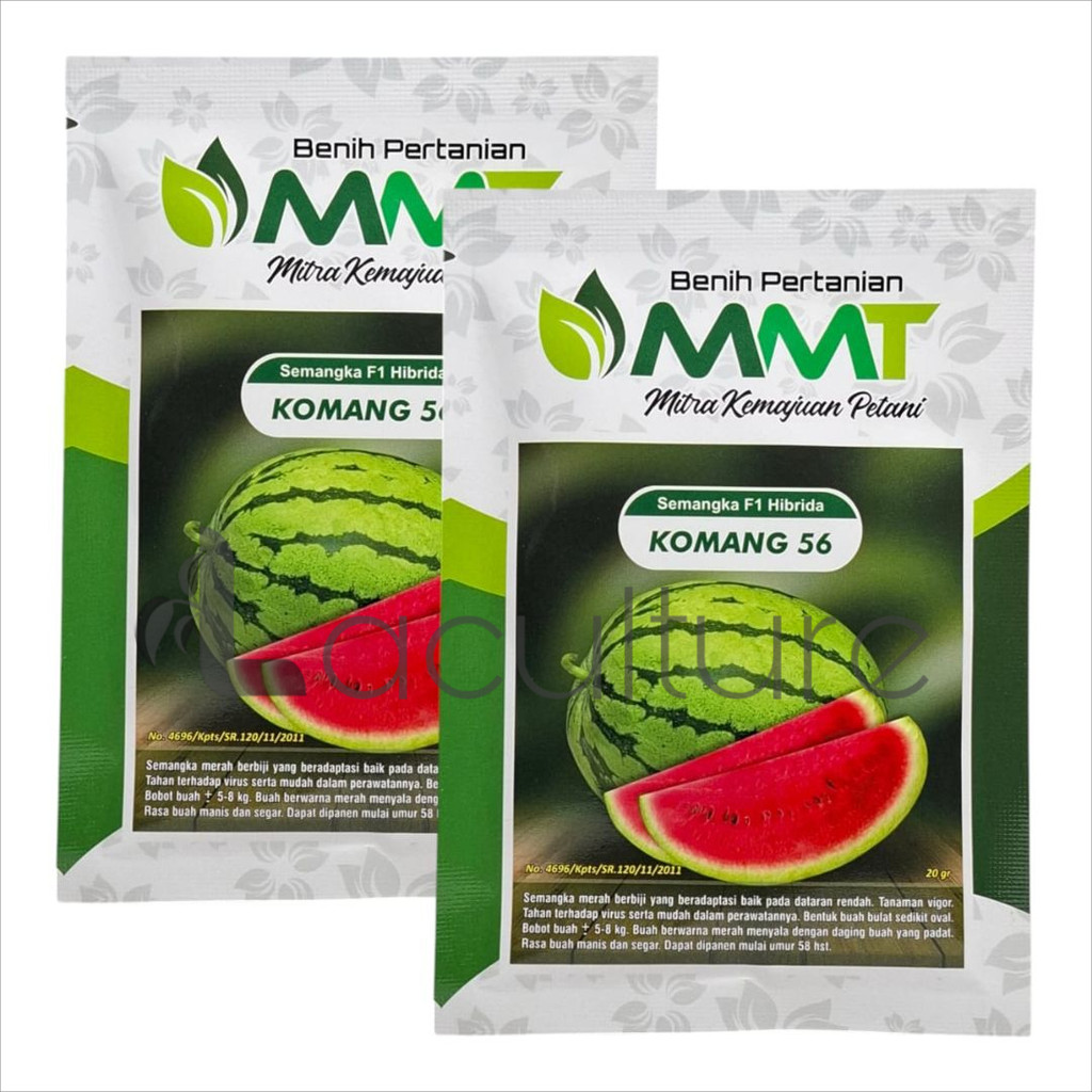 Benih Semangka Hibrida Komang 56 F1 Kemasan Pabrik 20 Gram
