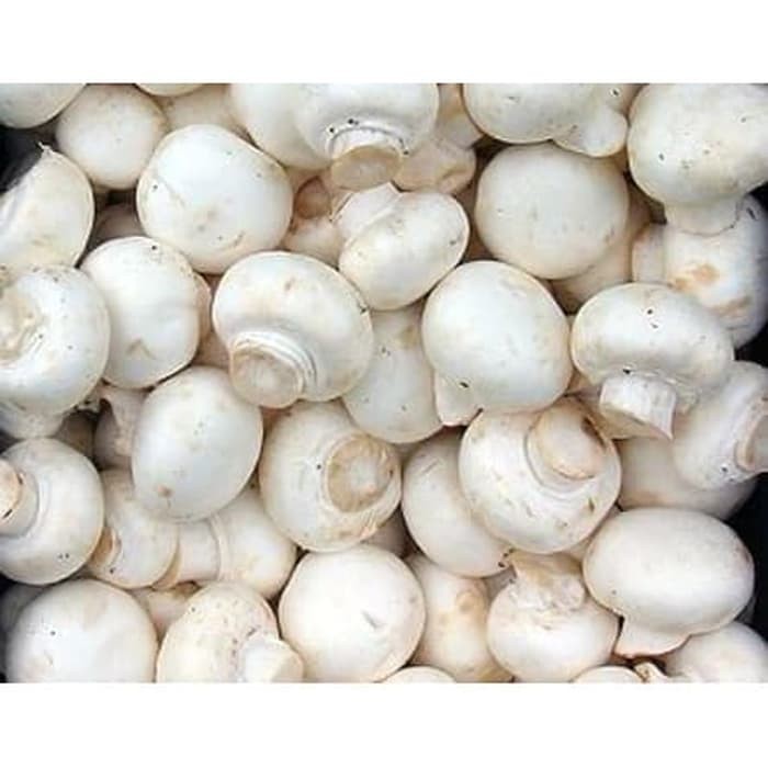 

[Dikirim Instant] Jamur Champignon 250gr - 500gr