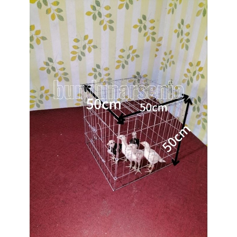 XR43F kandang ayam kate (lipat)