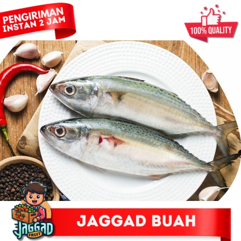 

Ikan Kembung Segar Pilihan Fresh