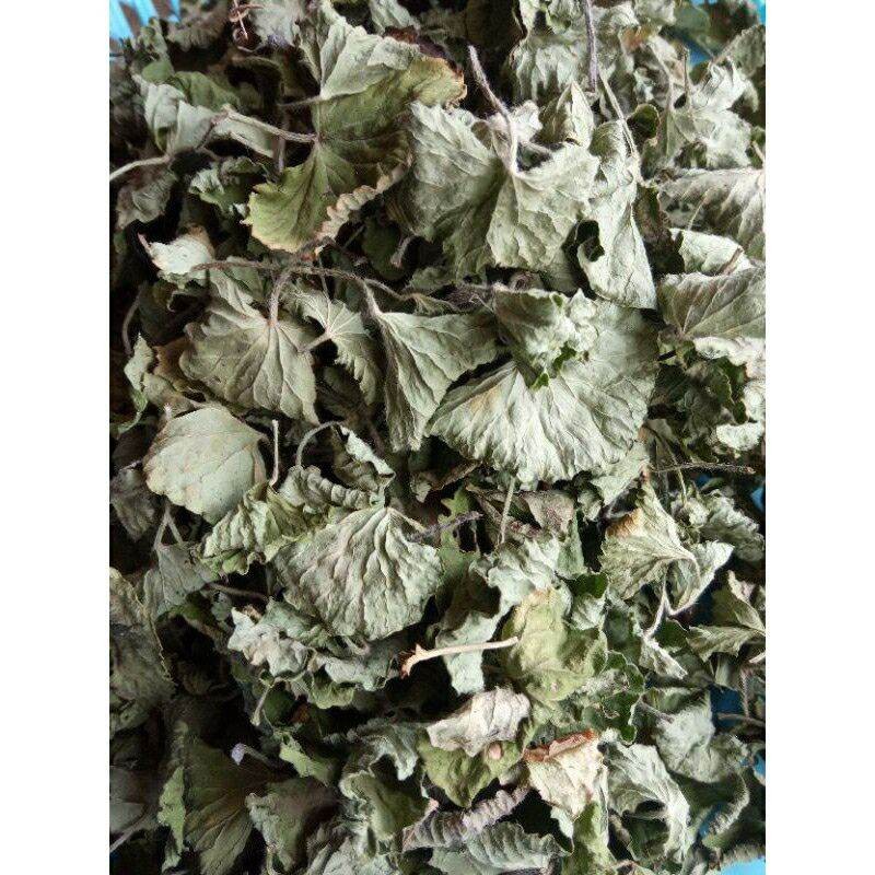 

Pegagan Kering Herbal Alami / antanan 100 gram