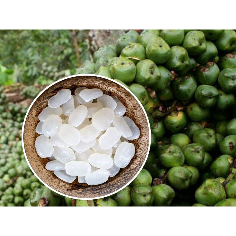 

KOLANGKALING/CANGKALENG SEGAR FRESH 500 GRAM