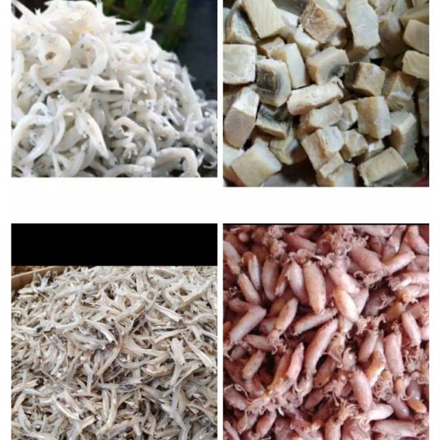 

PREMIUM Ikan Asin Jambal Roti / Peda Merah / Cumi Asin / Ebi / Teri Nasi Medan / Teri Jengki