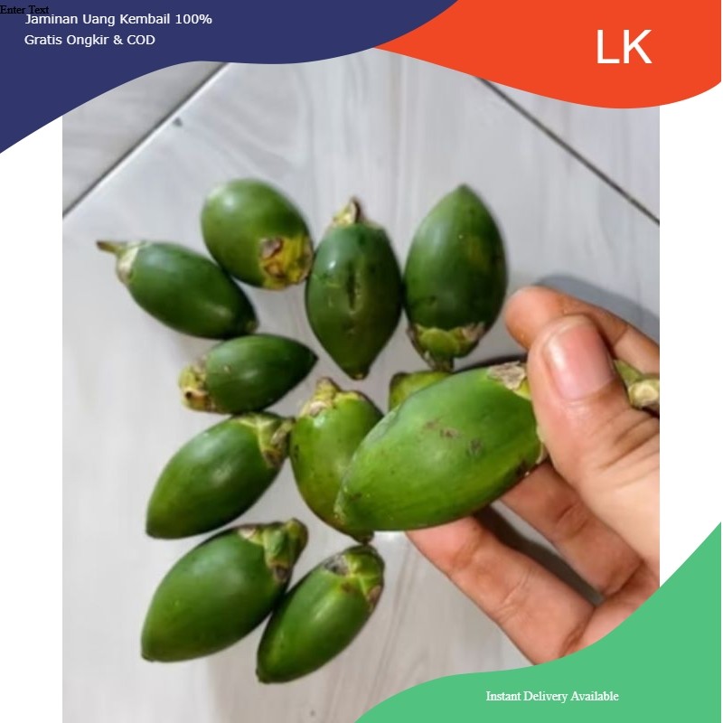 

BUAH PINANG MUDA MASIH HIJOU TERLARIS 1KG