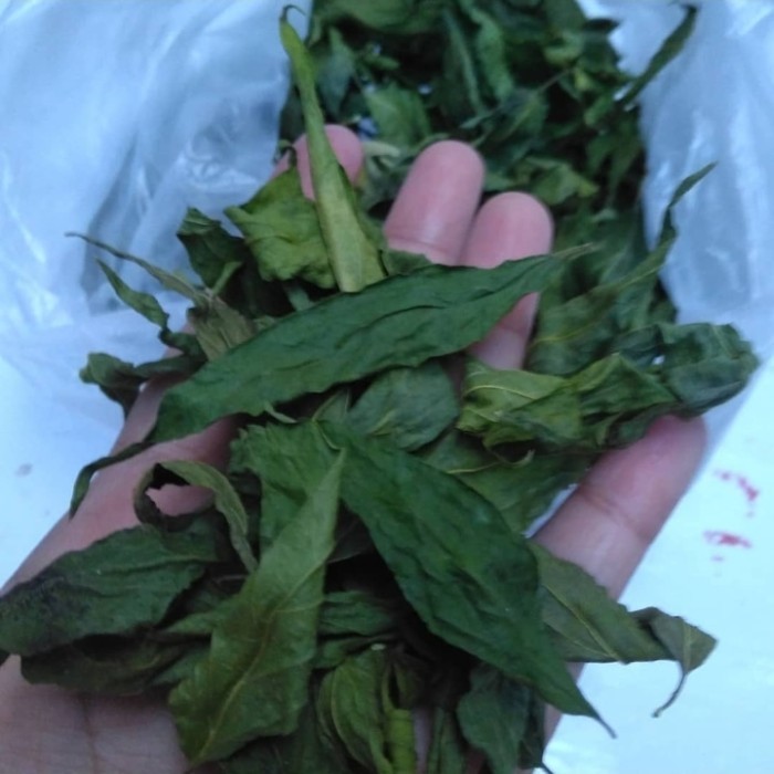 

SAHABATANI Daun belalai gajah kering siap konsumsi - daun kalingsir obat herbal alami