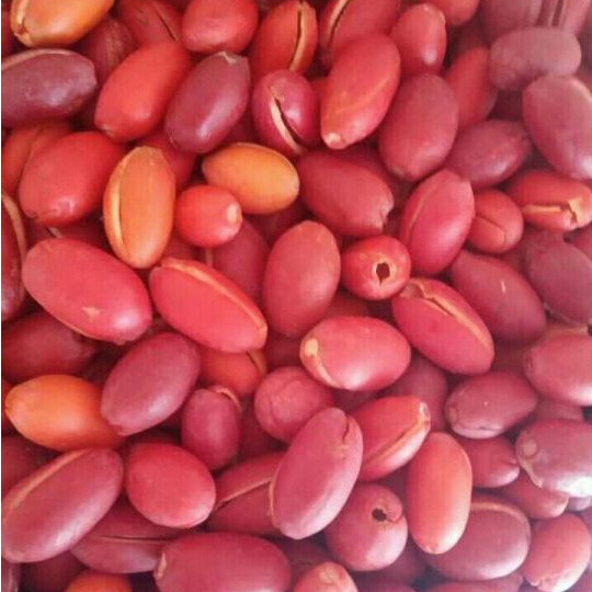 

Kulit Melinjo Segar 500gr / Sayur Kulit Melinjo