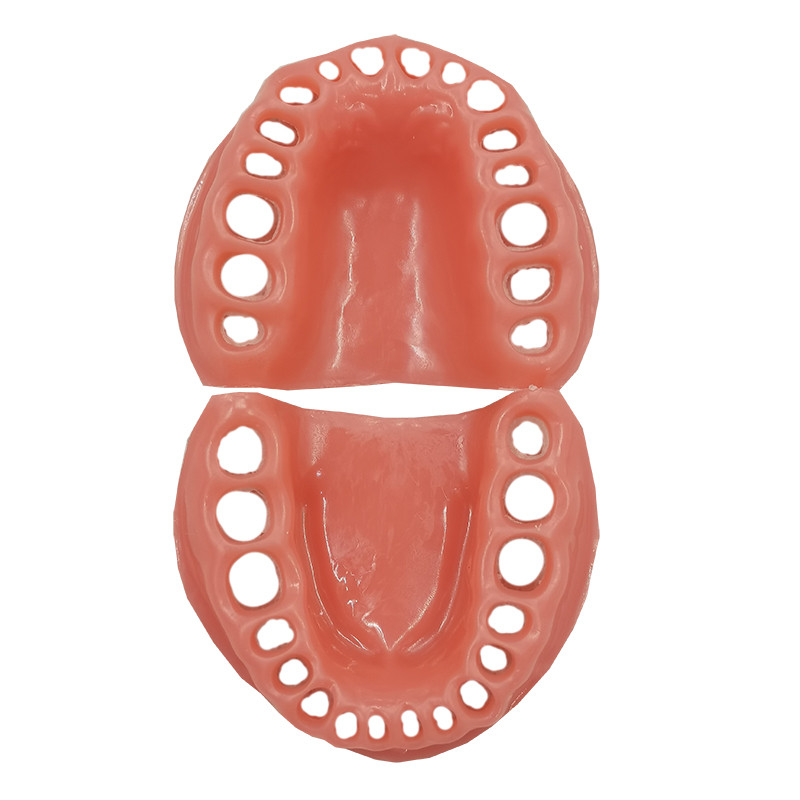 

Dental Soft Gum With 32 1PC Teeth Hole Standad Study Model Simulation Model Teeth Teaching Accessories Soft gGums Model Soft Gum