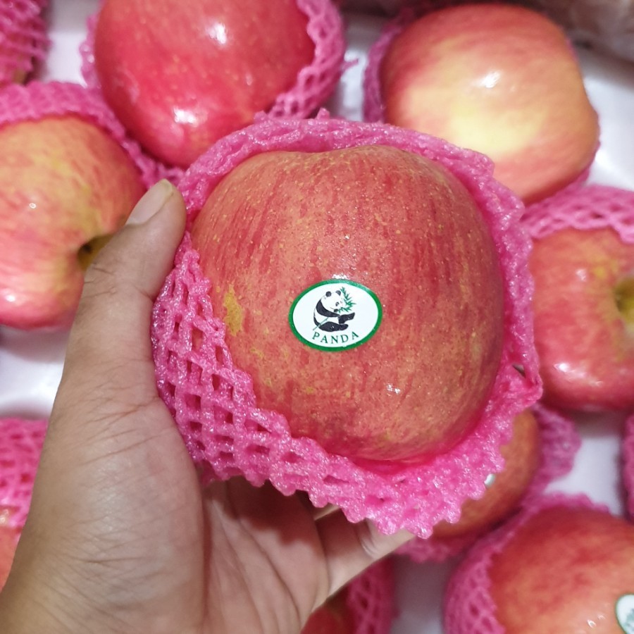 

Savina Buah88 Apel Fuji Import [KHUSUS INSTANT DAN SAMEDAY]