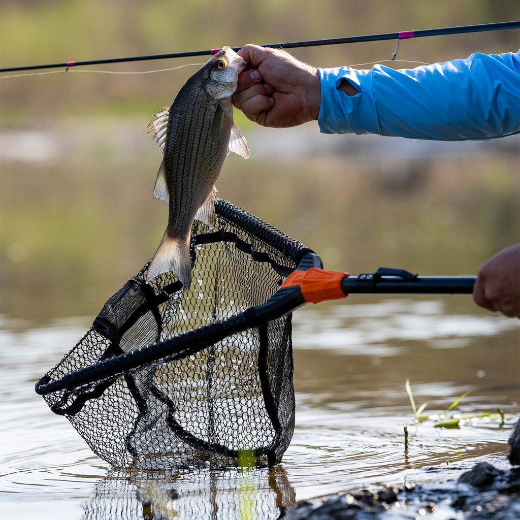 KastKing Pontus Fishing Net Landing Net Foldable & Lightweight Freshwater Fishing Landing Net with B