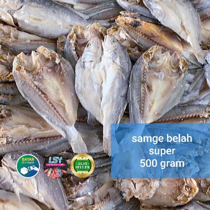 

PREMIUM Ikan Asin Samge Belah 500gr Daging Tebal Berkualitas