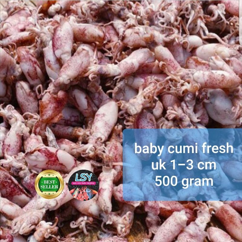 

ikan asin baby cumi / cumi asin / cumi rebus 78 berat 500gram