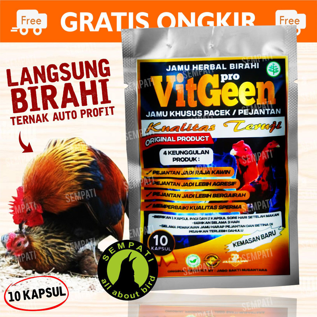 SEMPATI Jamu Ayam Vitgeen Pro Jamu Herbal Birahi Ayam Jantan Hoby Hobi Jago Bangkok Aduan Petarung V