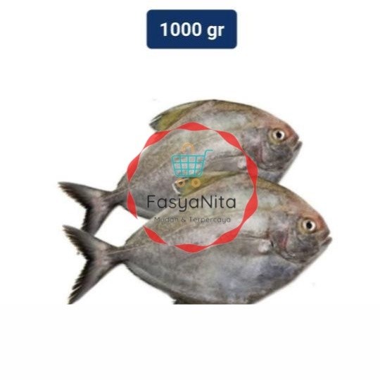 

Bawal Hitam Utuh 1 kg - Fasyanita Denpasar