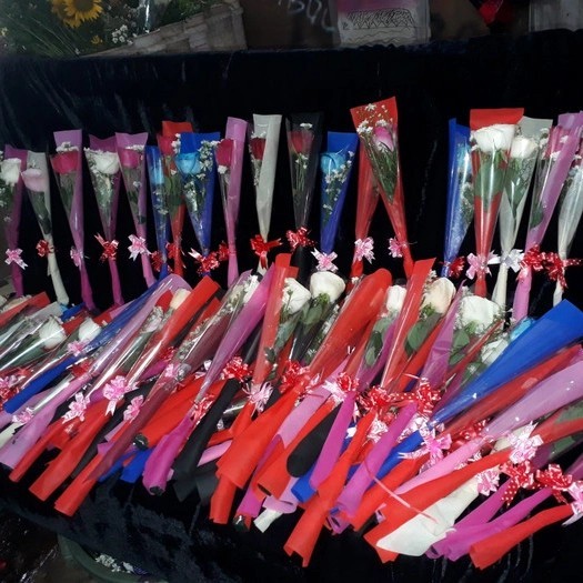 bunga mawar satu tangkai - Putih