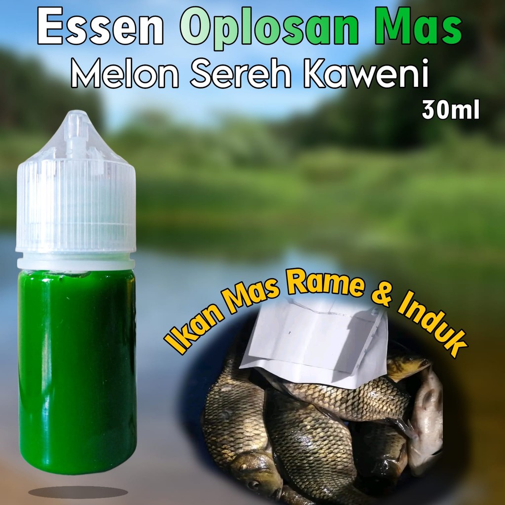 Essen Melon Sereh Kaweni, Essen Ikan Mas Galatama Dan Galapung, Essen Ikan Mas Harian, Essen Ikan Ma