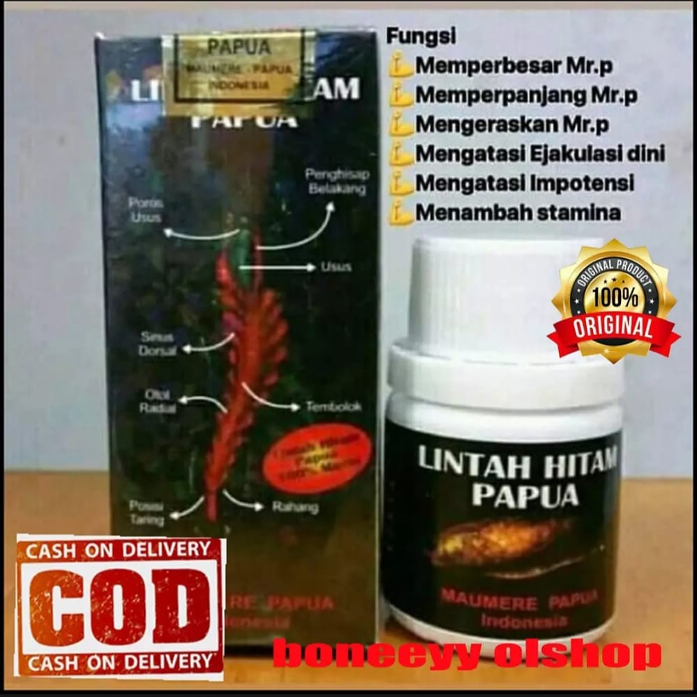 

MINYAK LINTAH PAPUA OBAT PEMBESAR ASLI DARI PAPUA